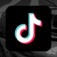 TikTok Logo